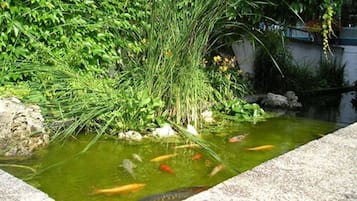 정원