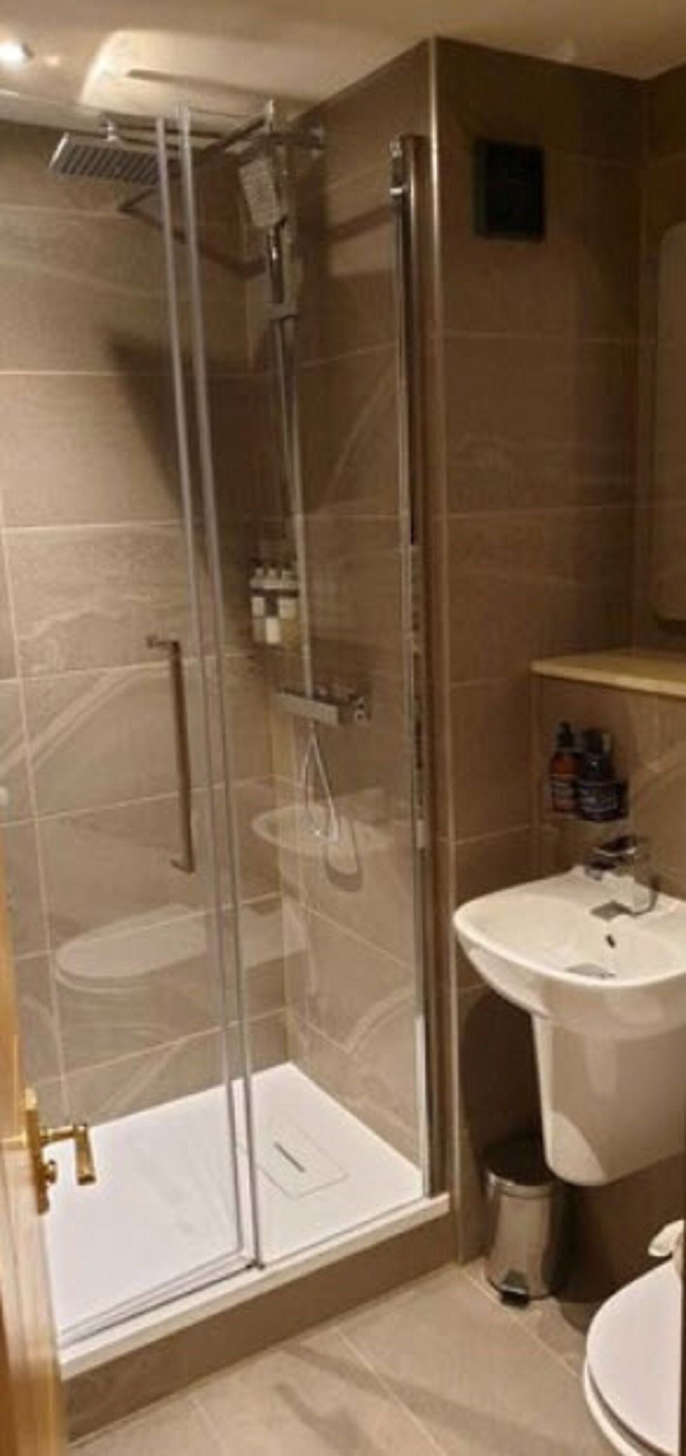 A glass-enclosed shower with a handheld showerhead, a white sink, and a small trash bin.