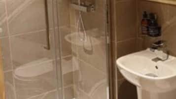 A glass-enclosed shower with a handheld showerhead, a white sink, and a small trash bin.