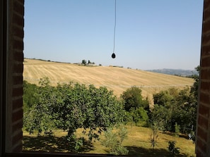 View from room