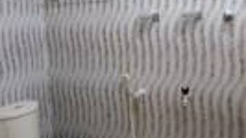 Shower, rainfall showerhead