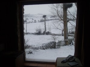 Vista desde la habitación