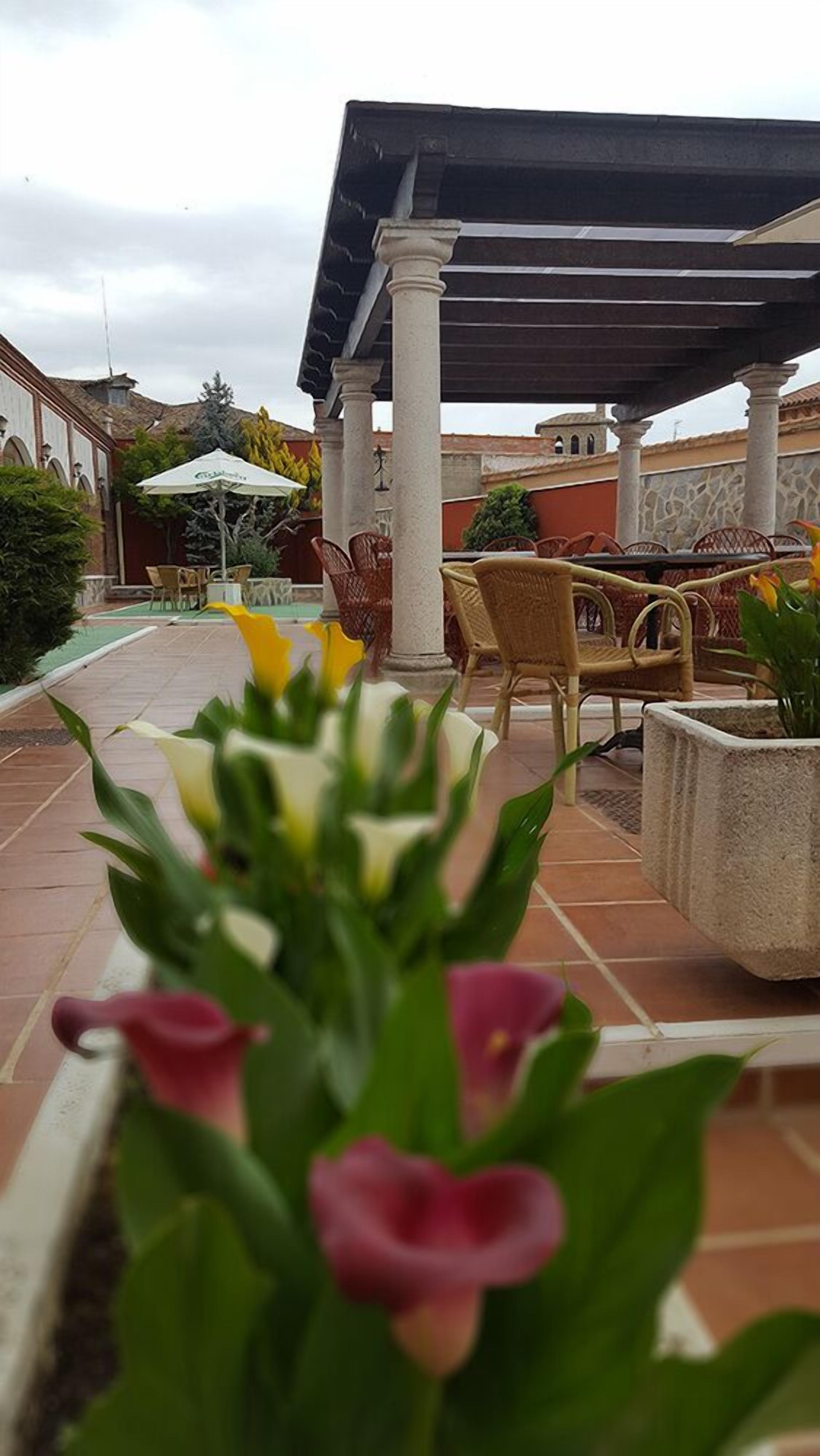 single room | terrace/patio