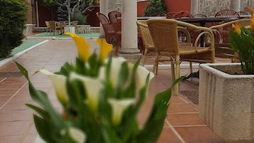 Habitación individual | Terraza o patio