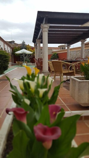 Habitación individual | Terraza o patio