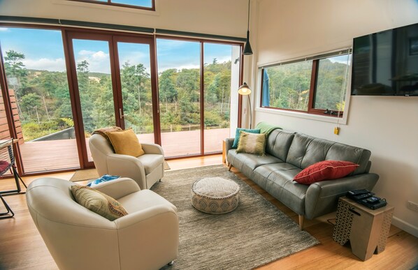 Televisión, reproductor de DVD, libros y videoteca 