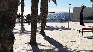 Un área al aire libre con baldosas, palmeras, un banco y vista al mar.