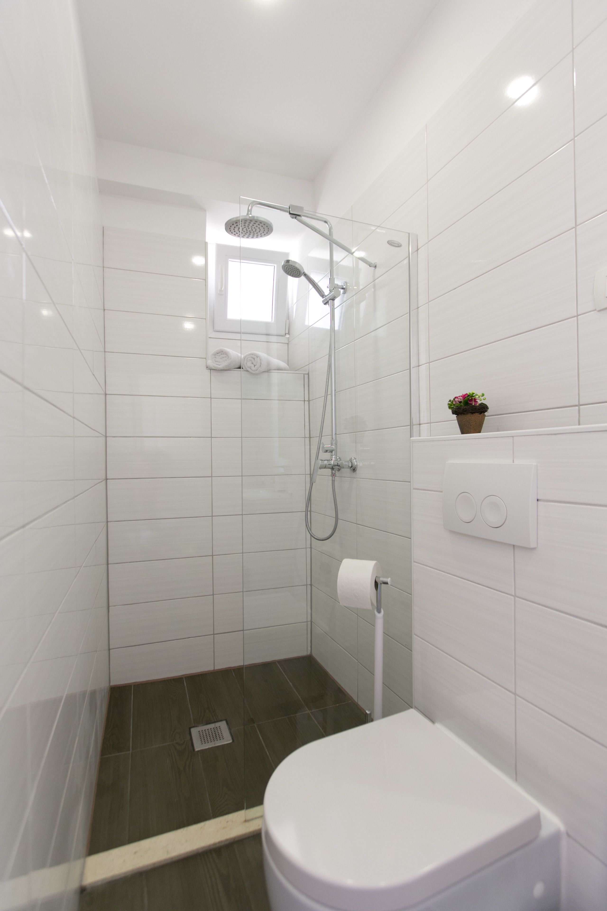 Un baño moderno con ducha, inodoro y una pequeña planta en maceta en la pared.