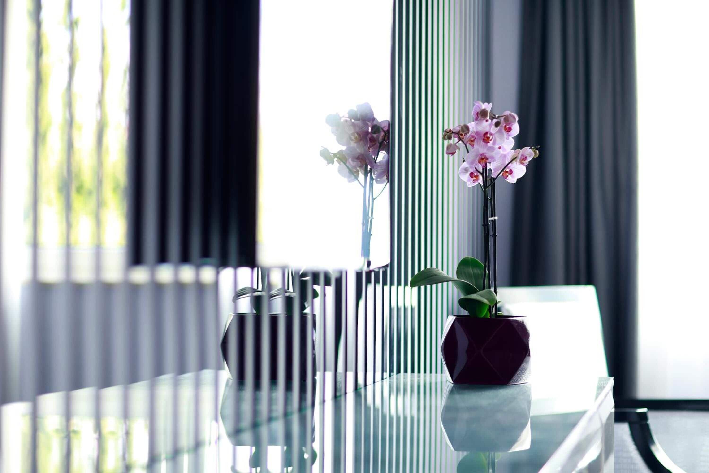 luxury king room | 1 bedroom, minibar, in-room safe, soundproofing