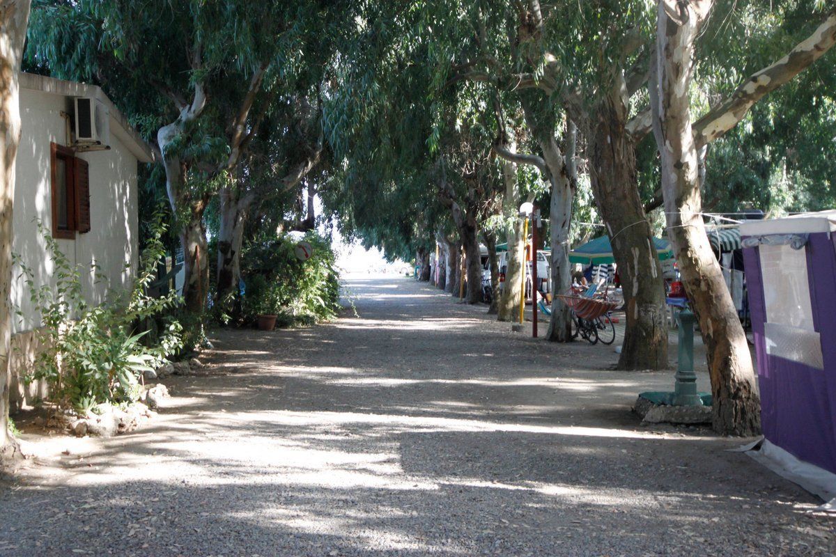 Overnatningsstedets område