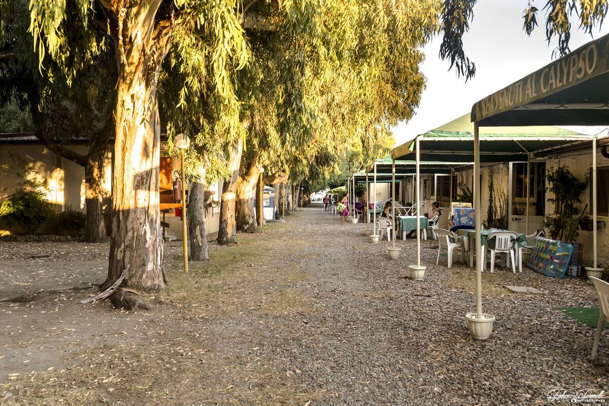 Un sendero de grava bordeado de árboles y mobiliario exterior bajo una marquesina.