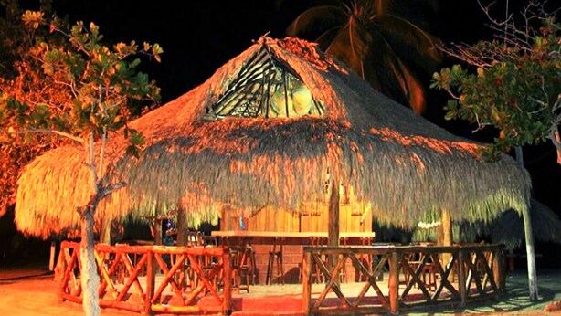 Una cabaña con techo de paja y terraza de madera, rodeada de palmeras.