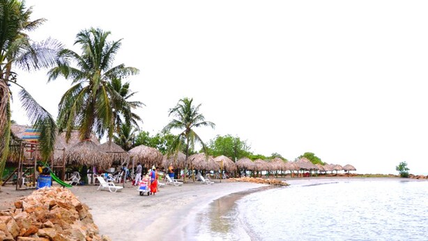 Una spiaggia con ombrelloni di paglia, palme e un ammasso di rocce.