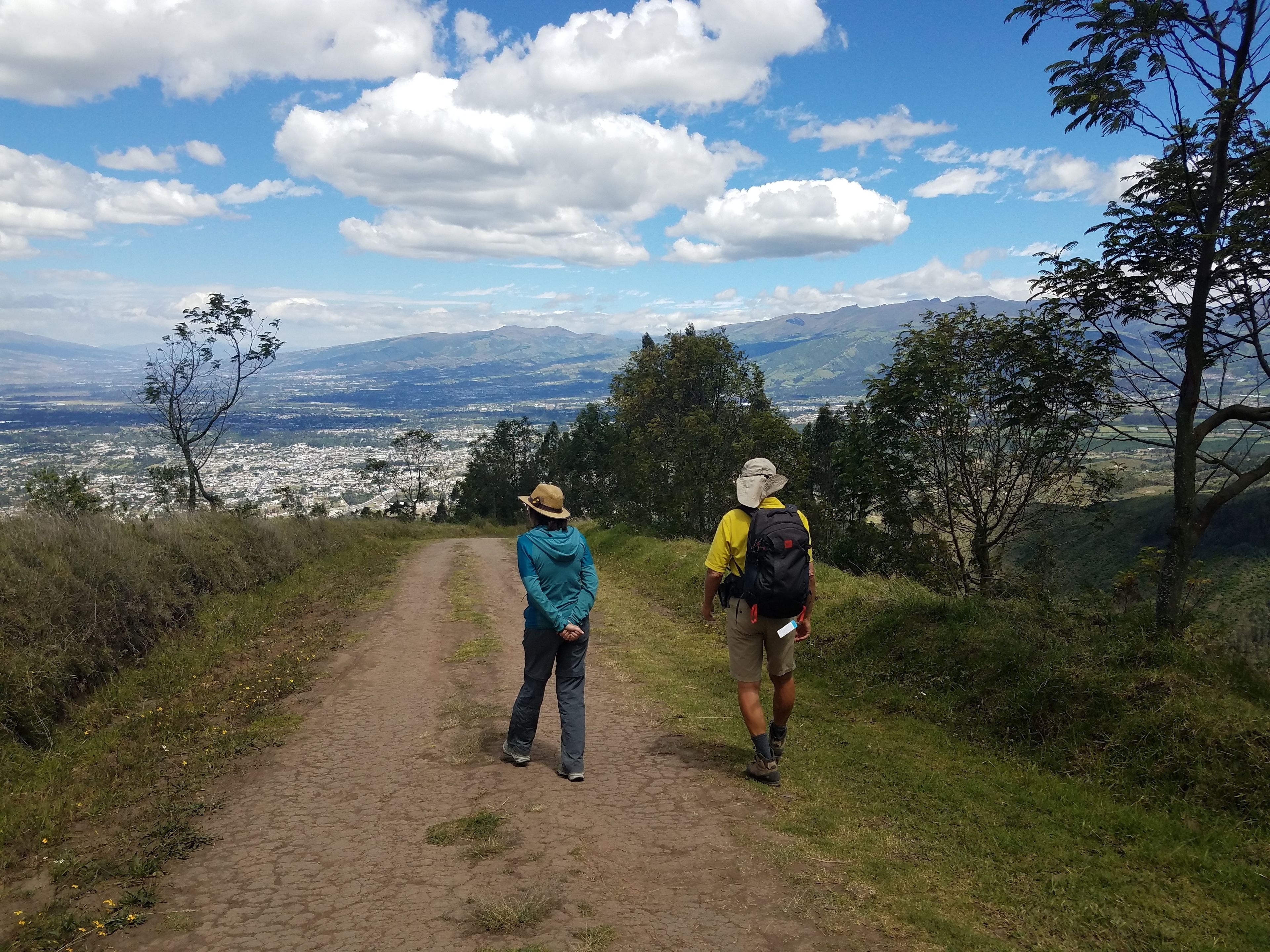 A dirt path leading to a scenic overlook with a view of a city and mountains in the distance.