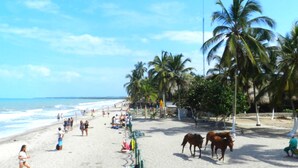 A beach with people, horses, and palm trees. - Cabañas Vacacionales En Palomino Guajira (Dibulla)