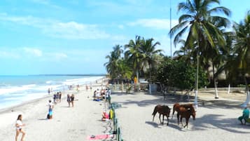 Una playa cerca