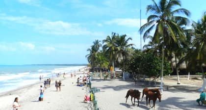 Cabañas Vacacionales En Palomino Guajira