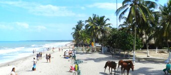 Cabañas Vacacionales En Palomino Guajira
