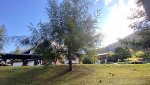 Eine Rasenfläche mit einem Baum und Gebäuden im Hintergrund.