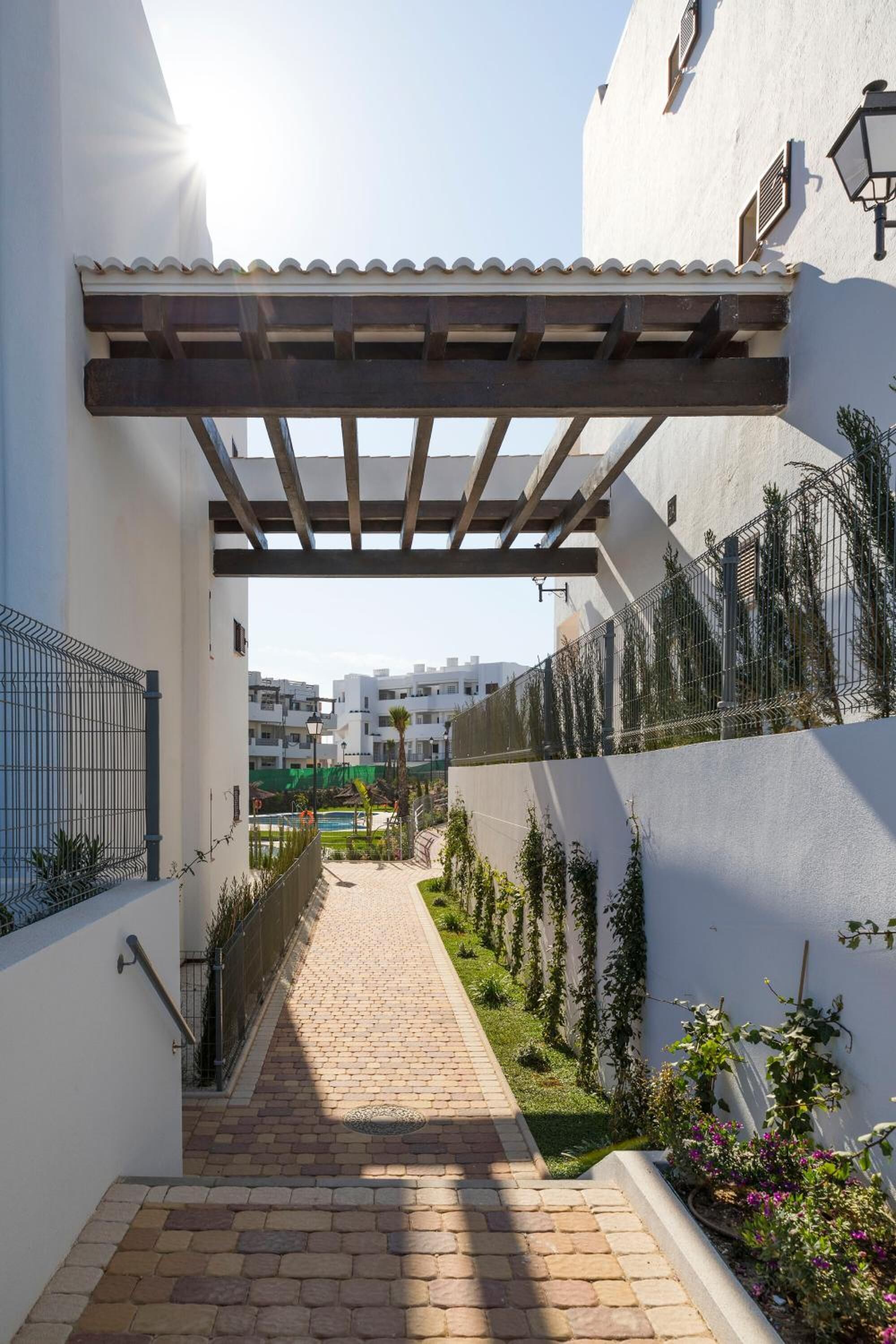 A narrow pathway leading to a building entrance with a pergola overhead.