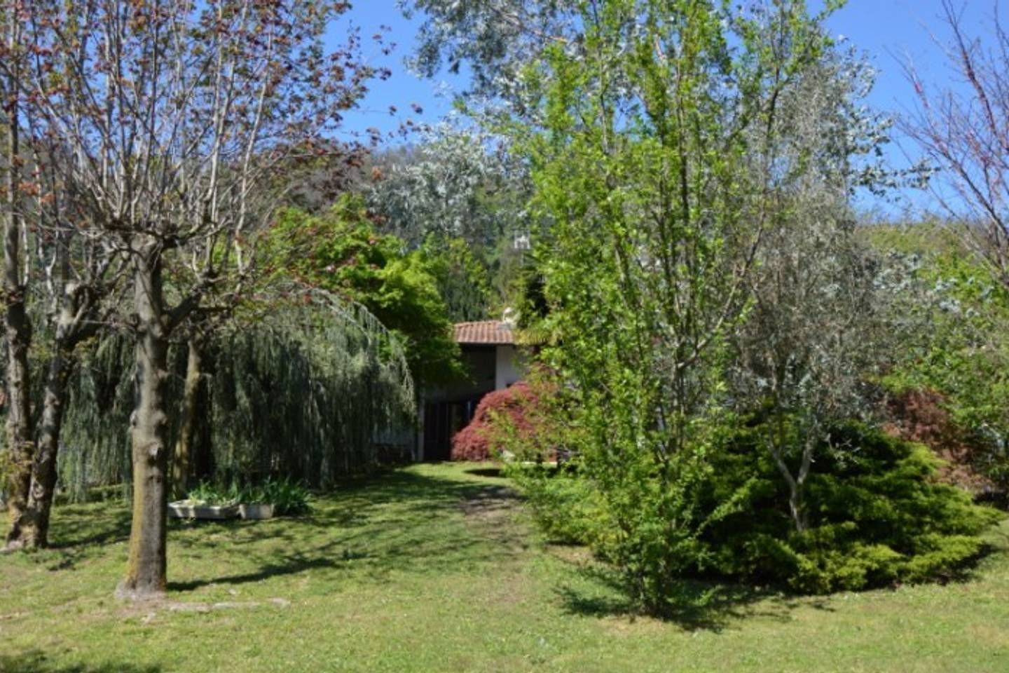A garden with a variety of trees and shrubs, a pathway leading to a building with a tiled roof.
