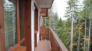 A wooden balcony with a view of tall trees.