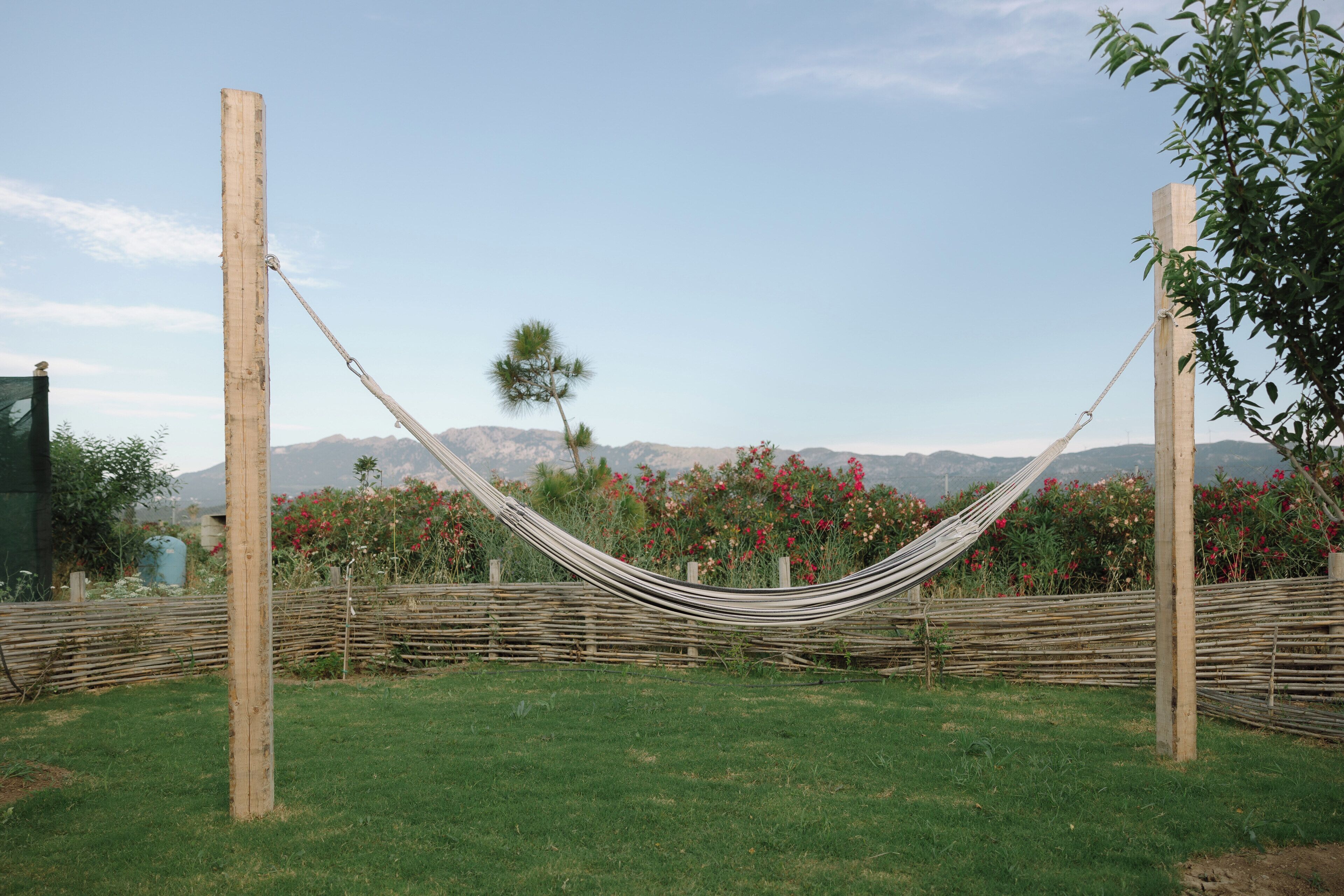Una hamaca instalada entre dos postes de madera en un área con césped, con vistas a montañas y plantas con flores al fondo.