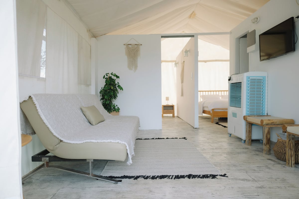 Una habitación acogedora con un sofá, una planta en maceta y un ventilador de techo.