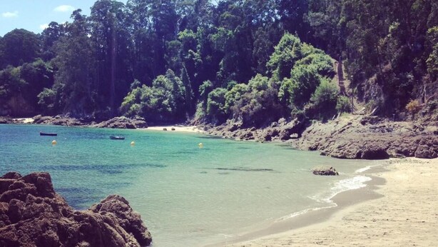 A beach with clear turquoise water, sandy shore, and dense forested hills in the background. - Casa Lourido (Sada)