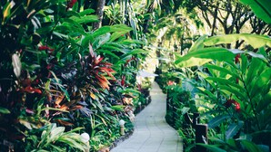 Un sendero bordeado por abundante follaje verde y flores rojas, que conduce a un jardín.