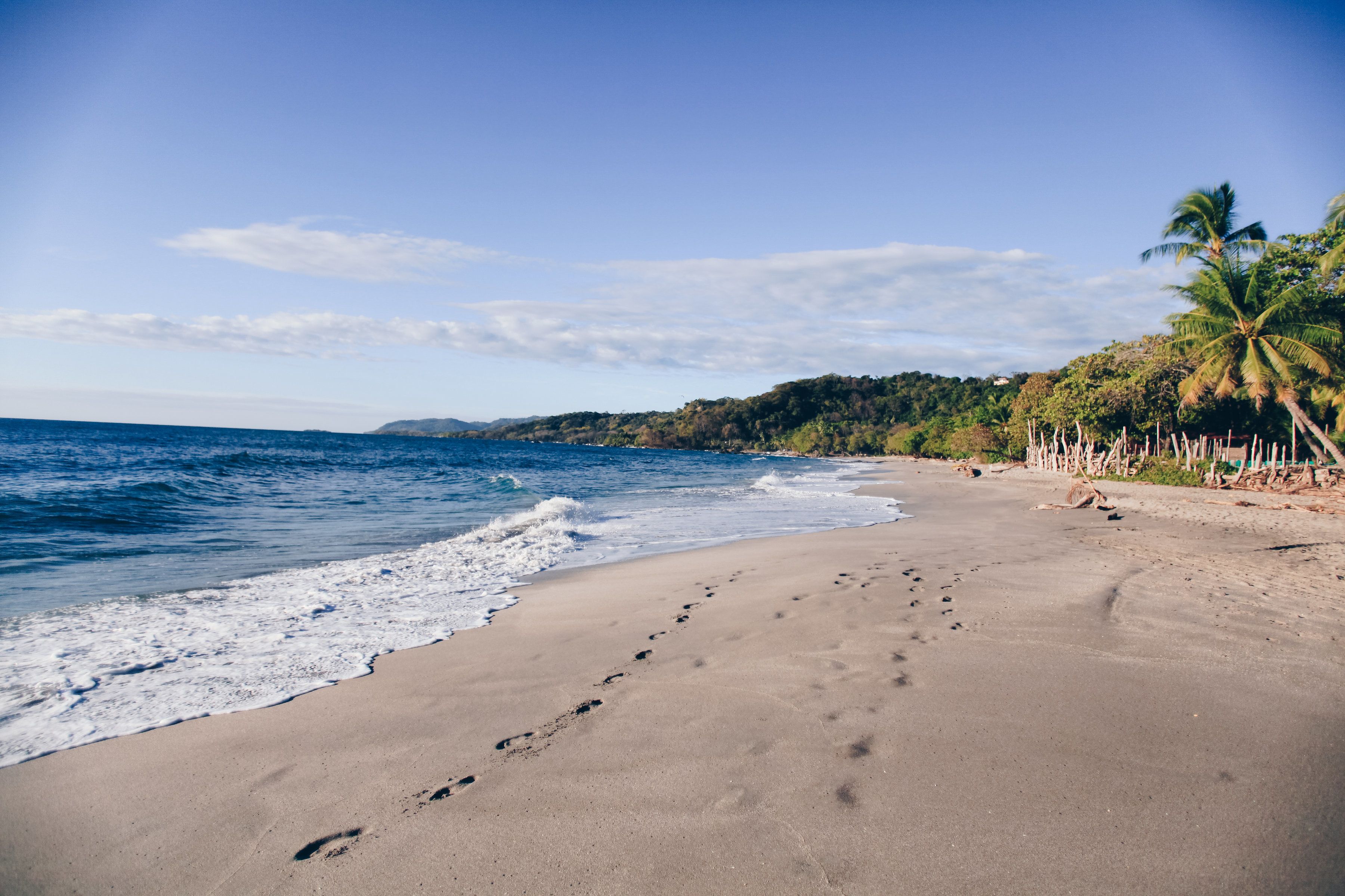 Ein Strand mit Fußspuren, die zum Wasser führen, Palmen und einem klaren Himmel.