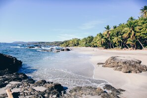 On the beach - Ylang Ylang Beach Resort (Cóbano)
