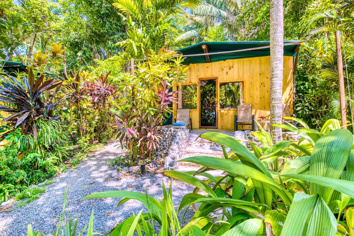 A wooden cabin surrounded by lush tropical vegetation, with a gravel path leading to the entrance.
