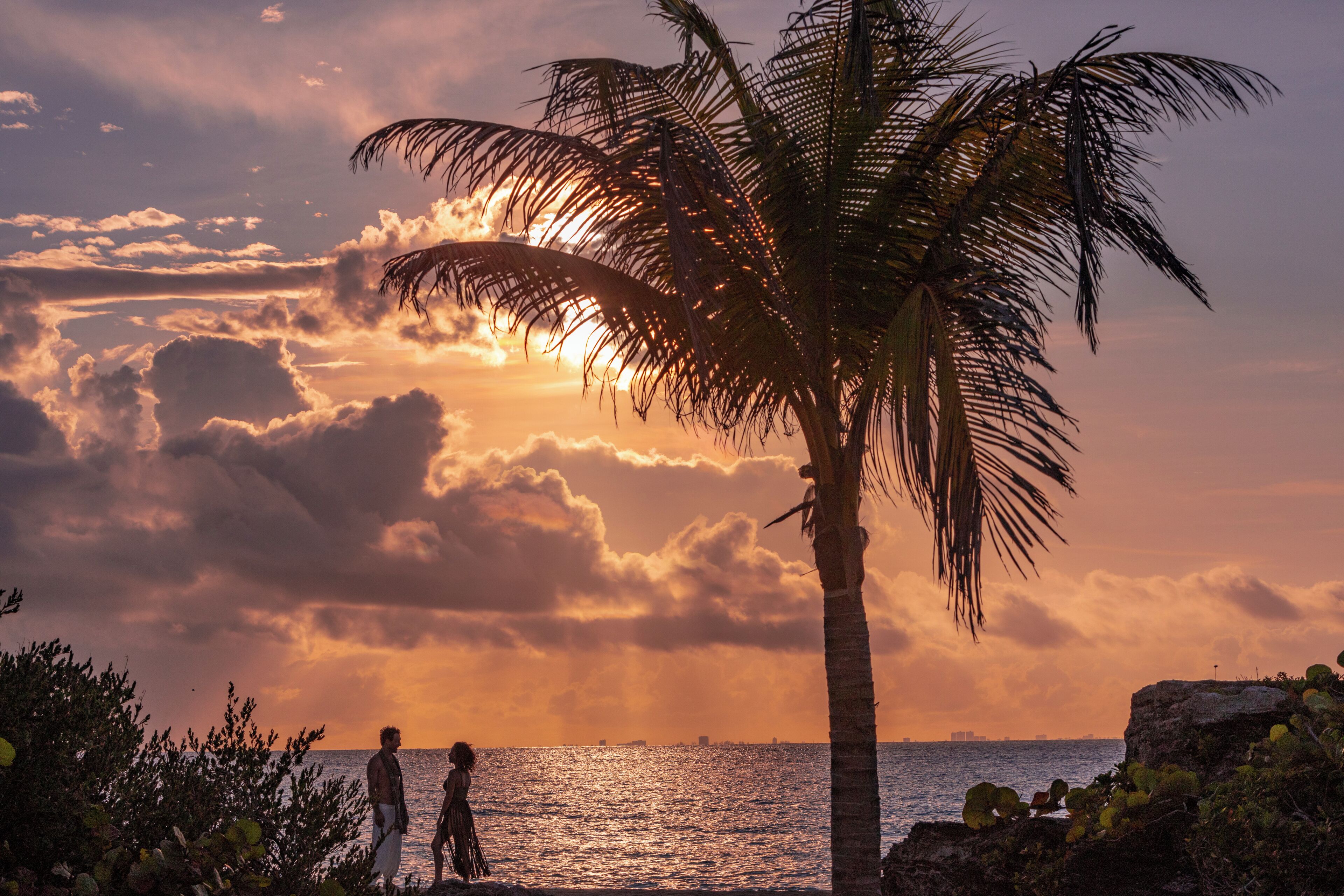 A sunset view with a palm tree and ocean.
