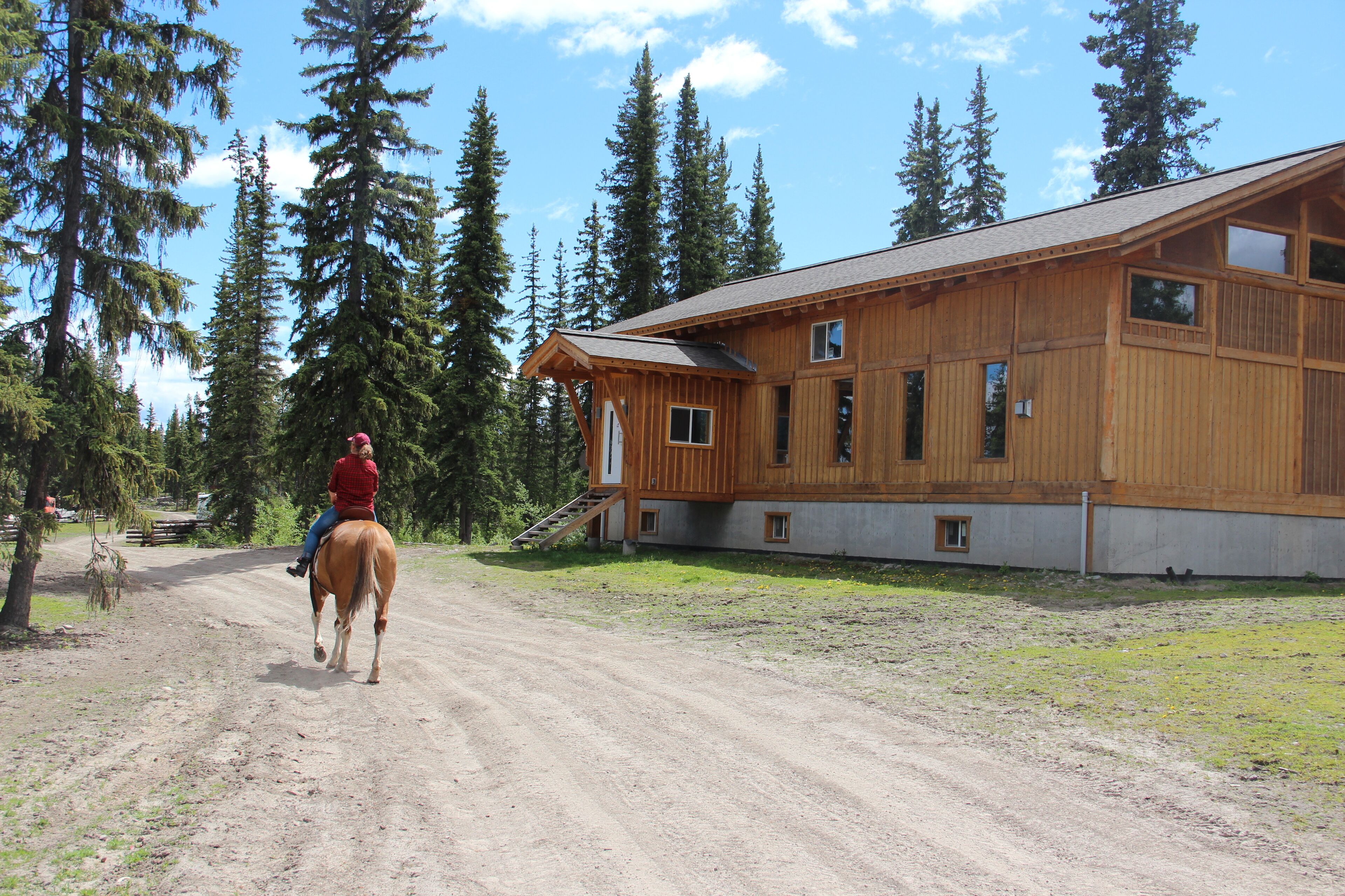 A wooden cabin with a dirt path leading to it, surrounded by tall trees.