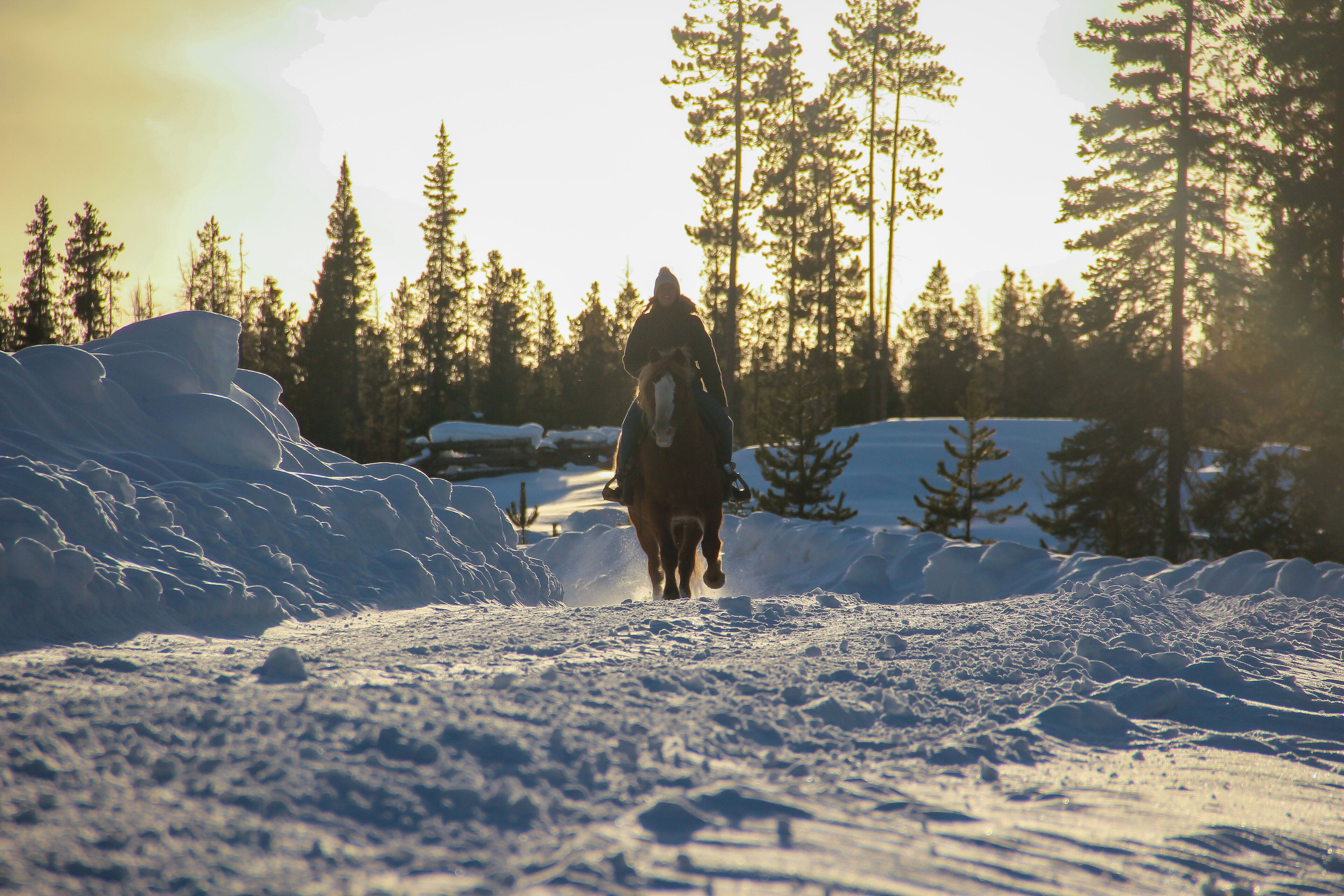 Um cavalo e um cavaleiro avançam por uma paisagem nevada, com árvores altas ao fundo.
