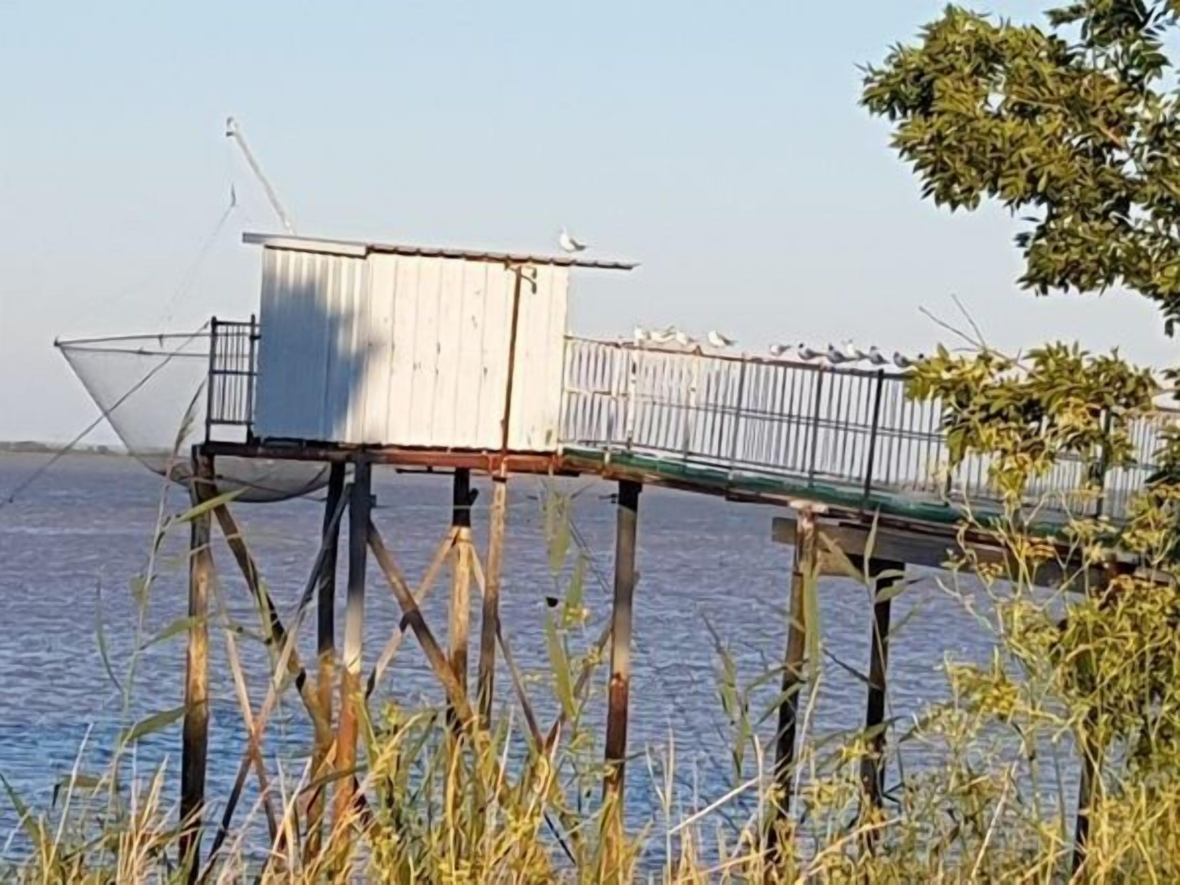 Khác