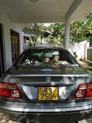 Restaurant - Villa ok (Unawatuna)