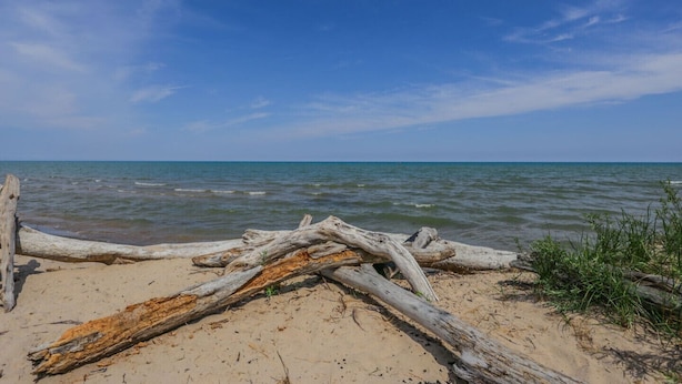A beach with driftwood and sand. - Quaint, Clean & Updated Cottage- Steps From The Beach. (Port Franks)