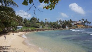 A beach with clear water, palm trees, and houses in the background.