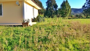 Una casa con techo de tejas, antena parabólica y plantas en macetas en el jardín delantero.
