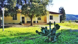Un edificio amarillo con jardín, un cactus y una zona con bancos.