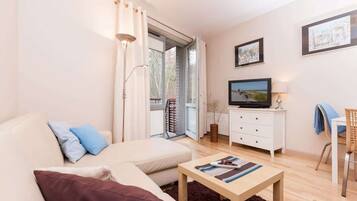 Fernseher, Arbeitsbereiche