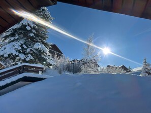 Property grounds - 5-room Chalet Vallandry, 12 pers, pets allowed, parking, WiFi (Landry)