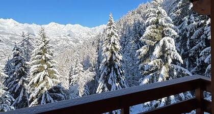 5-room Chalet Vallandry, 12 pers, pets allowed, parking, WiFi