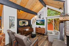 TV, fireplace, video games