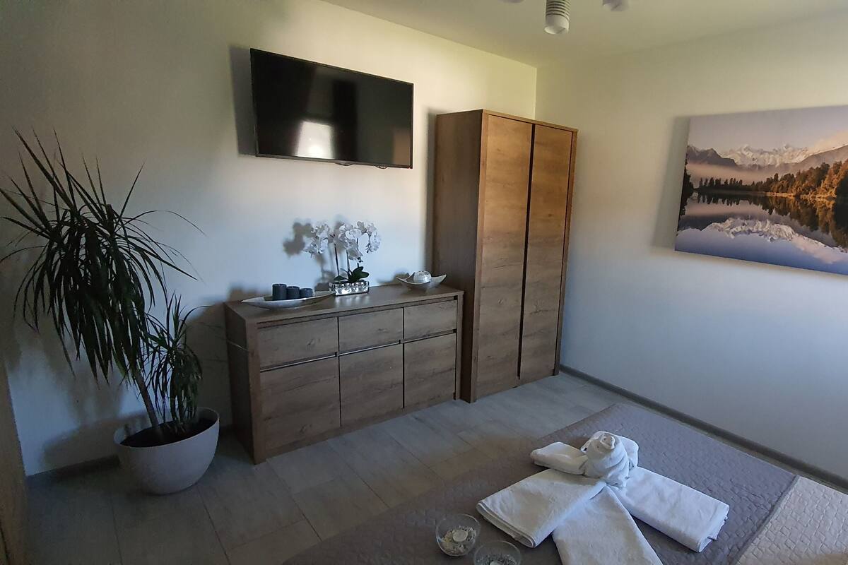 A modern bedroom with a wooden wardrobe, a mounted TV, a large framed landscape painting, a potted plant, and neatly folded towels on the floor.