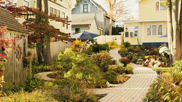 A garden pathway leading to a house with a wooden fence and various plants.