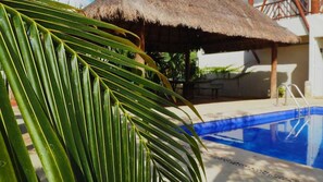 Alberca al aire libre 