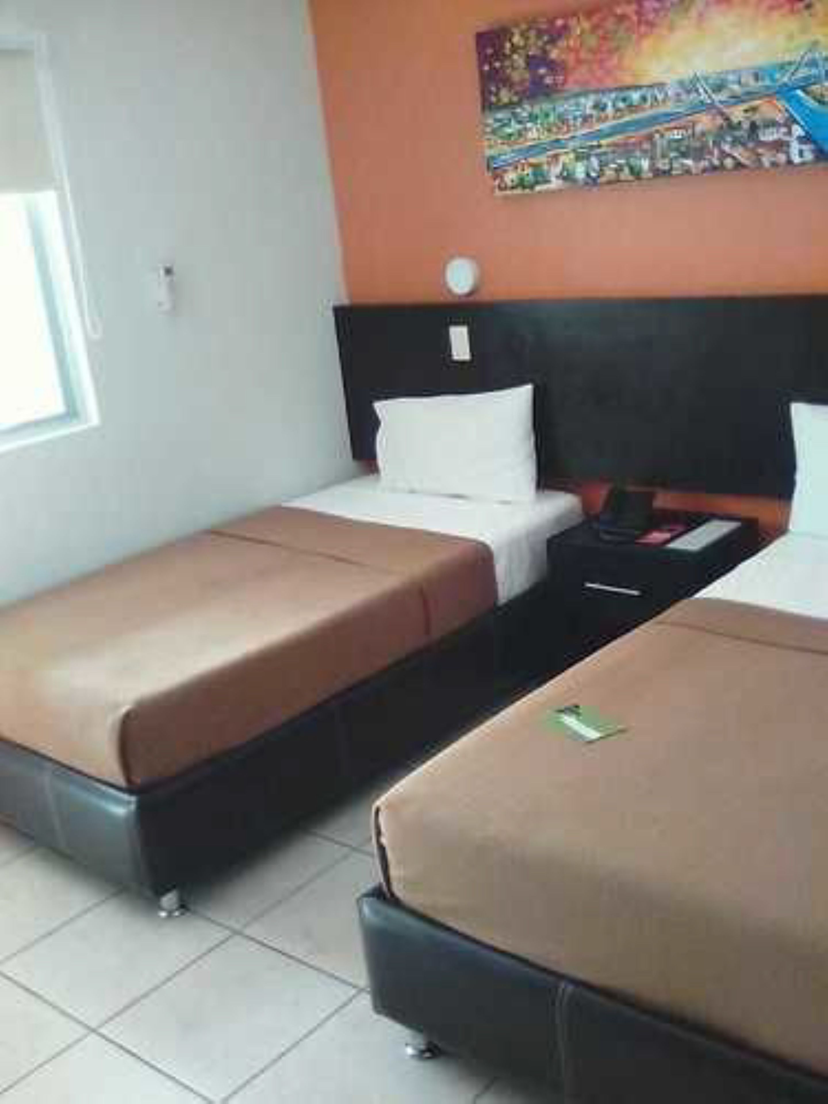 Photo - Hotel Belisario INN